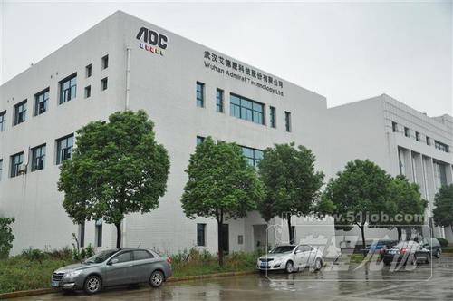 武汉艾德蒙科技股份有限公司 武汉科技企业的发展样本
